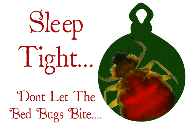 Bed-Bugs-Blog