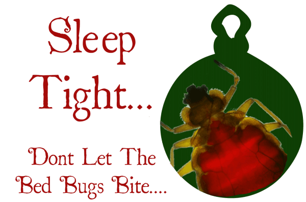 Bed-Bugs-Blog